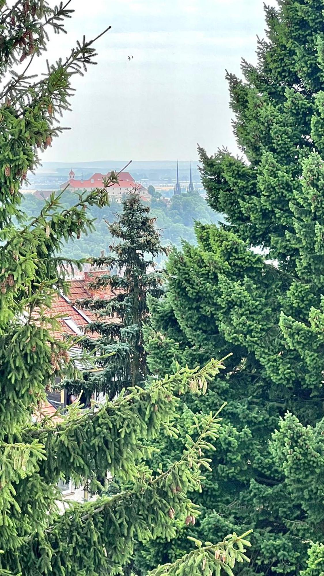 Apartman Se Saunou A Terasou S Vyhledem Na Brünn  Kültér fotó